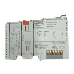 Wago - 2 - channel analog input module - DC 0 … 10 V- Single-Ended - 750-467
